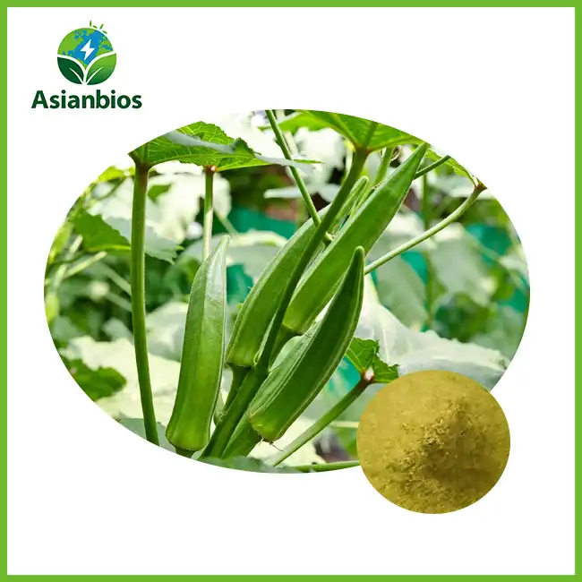 Okra Extract Powder